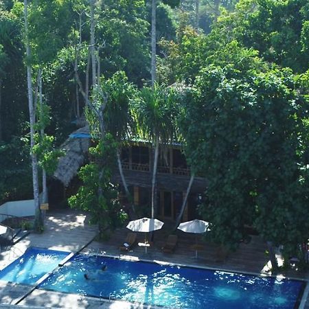 De Foret Elephant Beach Luaran gambar