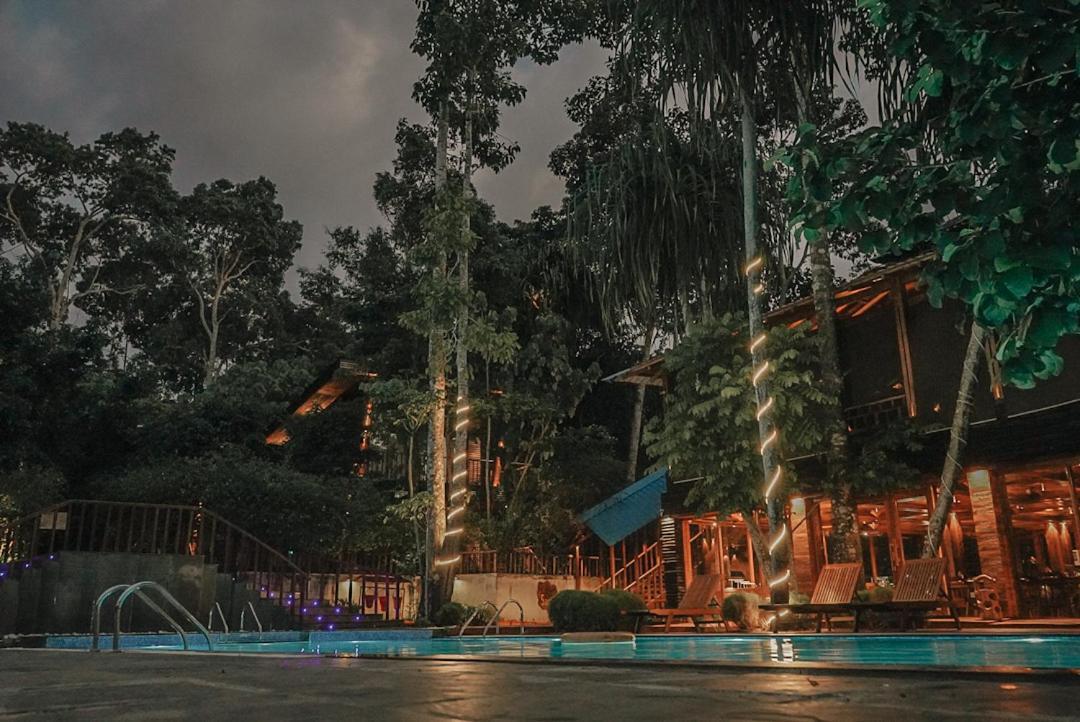 De Foret Elephant Beach Luaran gambar