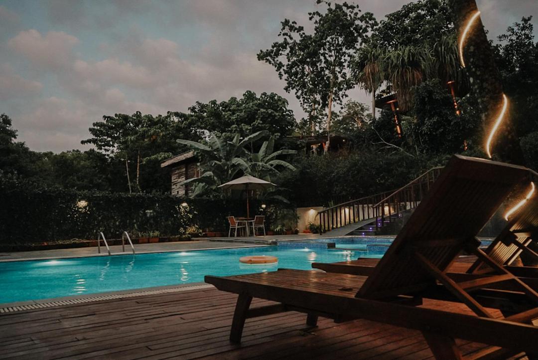 De Foret Elephant Beach Luaran gambar