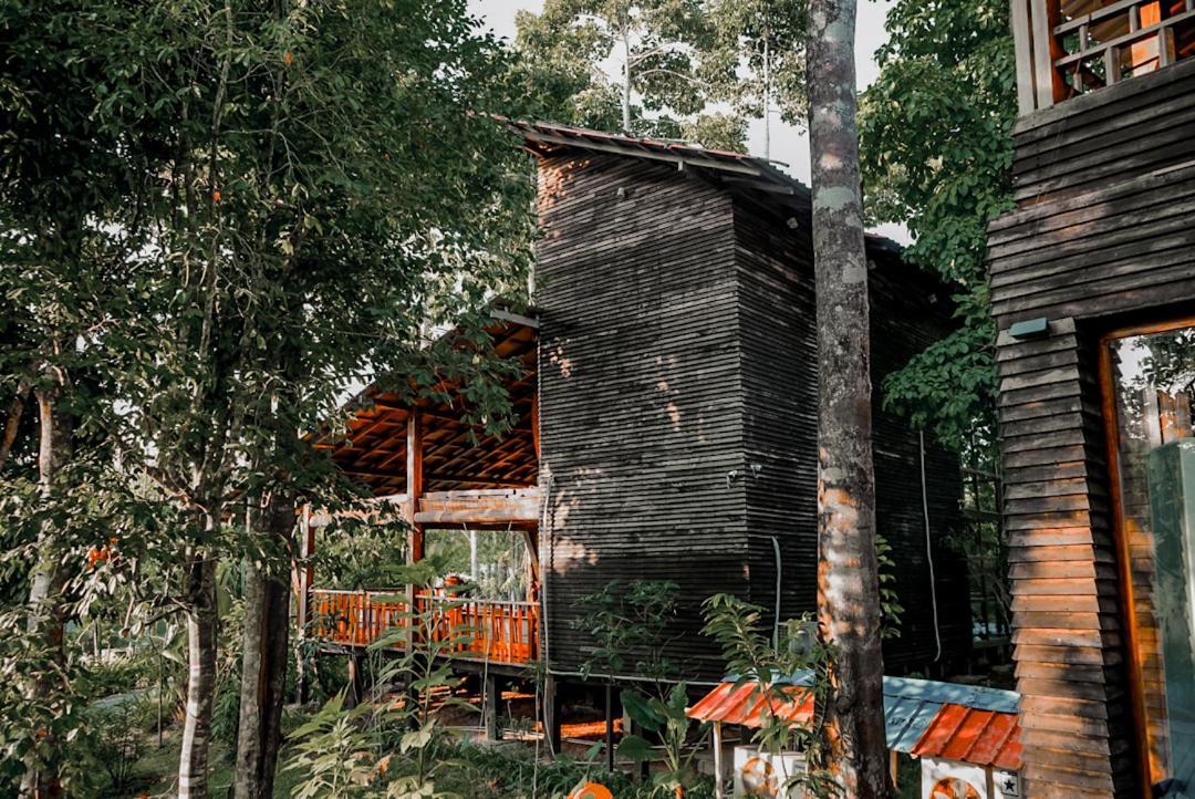 De Foret Elephant Beach Luaran gambar