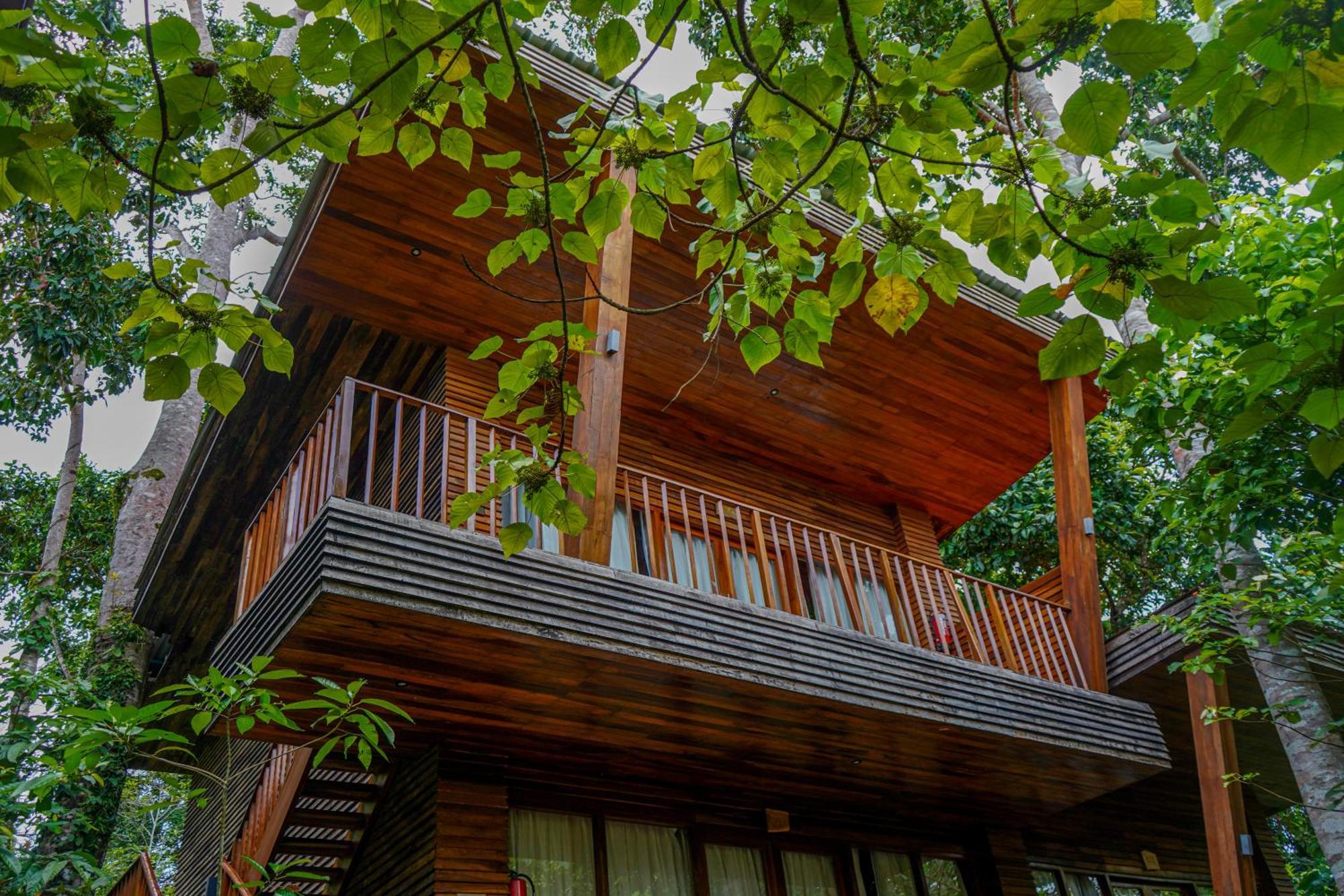 De Foret Elephant Beach Luaran gambar