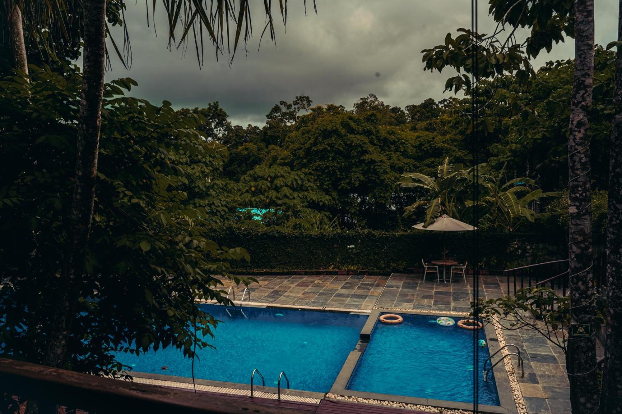 De Foret Elephant Beach Luaran gambar