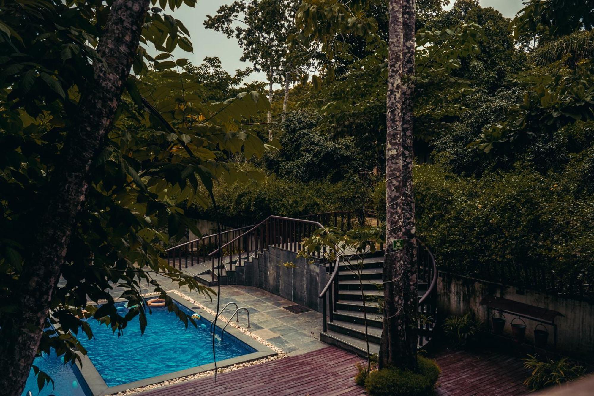 De Foret Elephant Beach Luaran gambar
