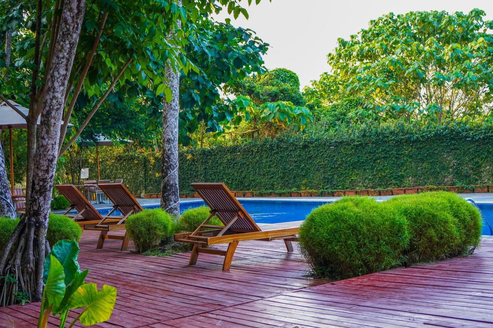 De Foret Elephant Beach Luaran gambar