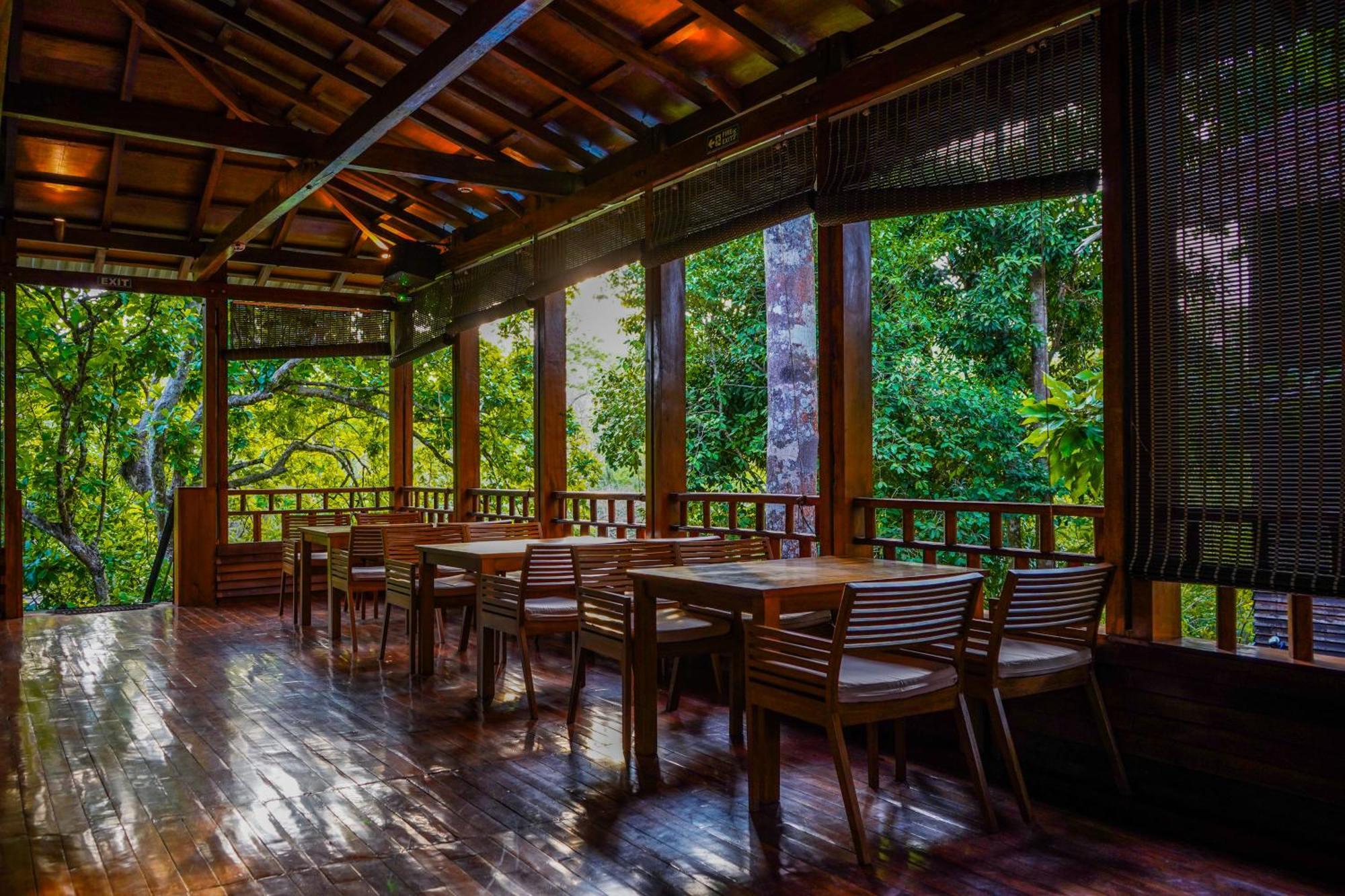 De Foret Elephant Beach Luaran gambar